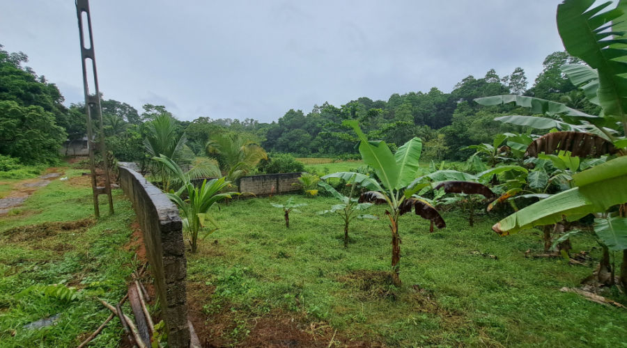 maggona boutique cottages