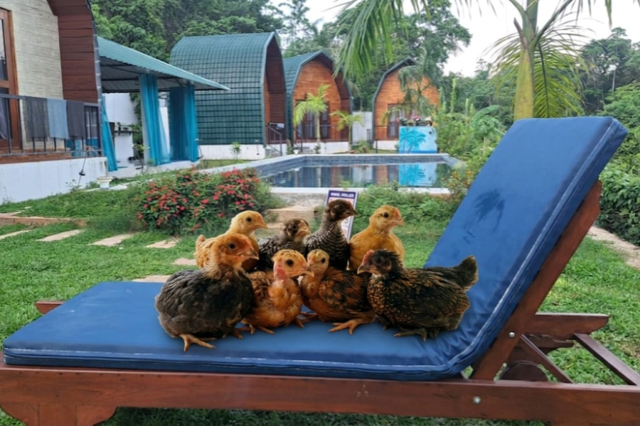 maggona boutique cottages 