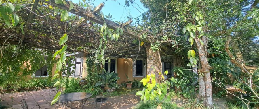 brief garden bevis bawa